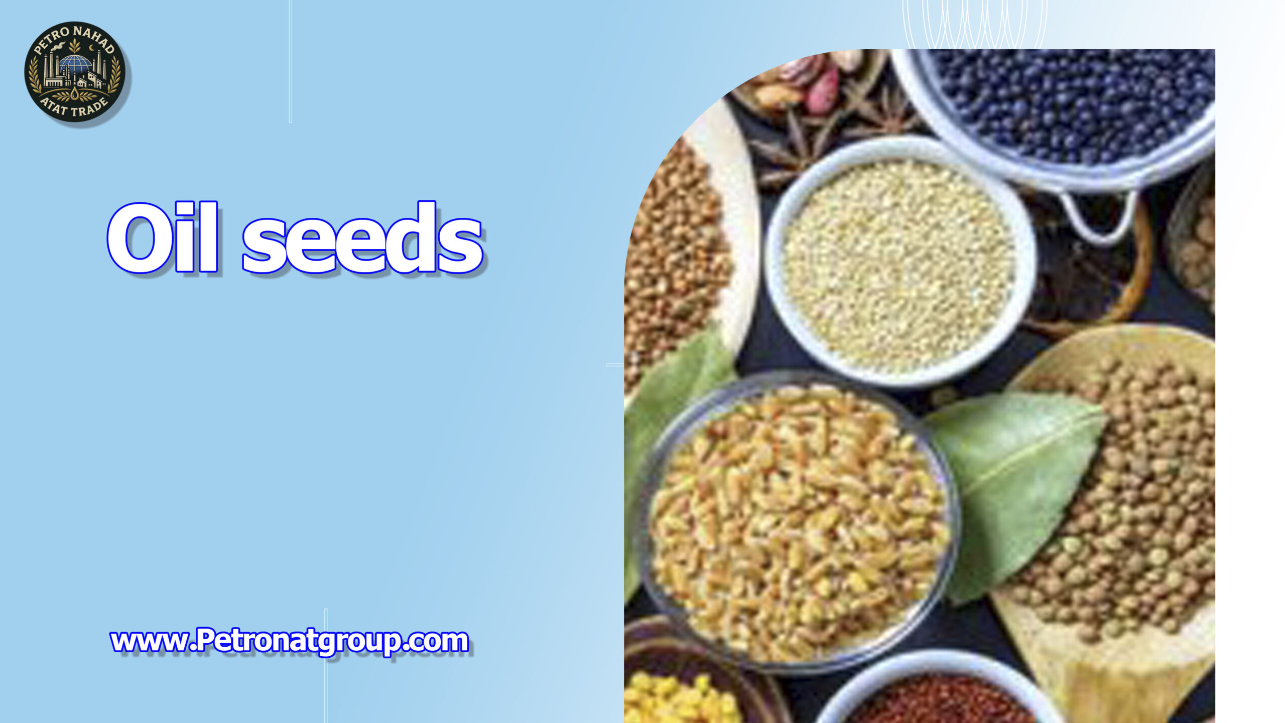 Read more about the article Oilseeds