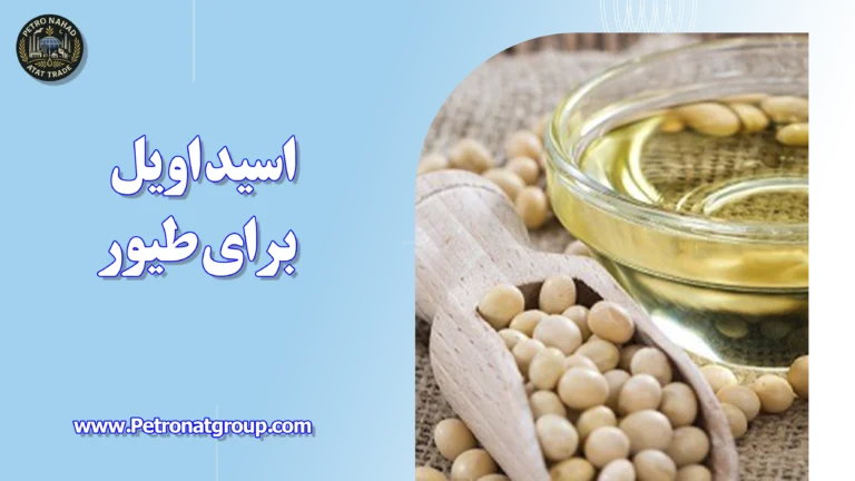 درباره این مقاله بیشتر بخوانید اسید اویل برای طیور
