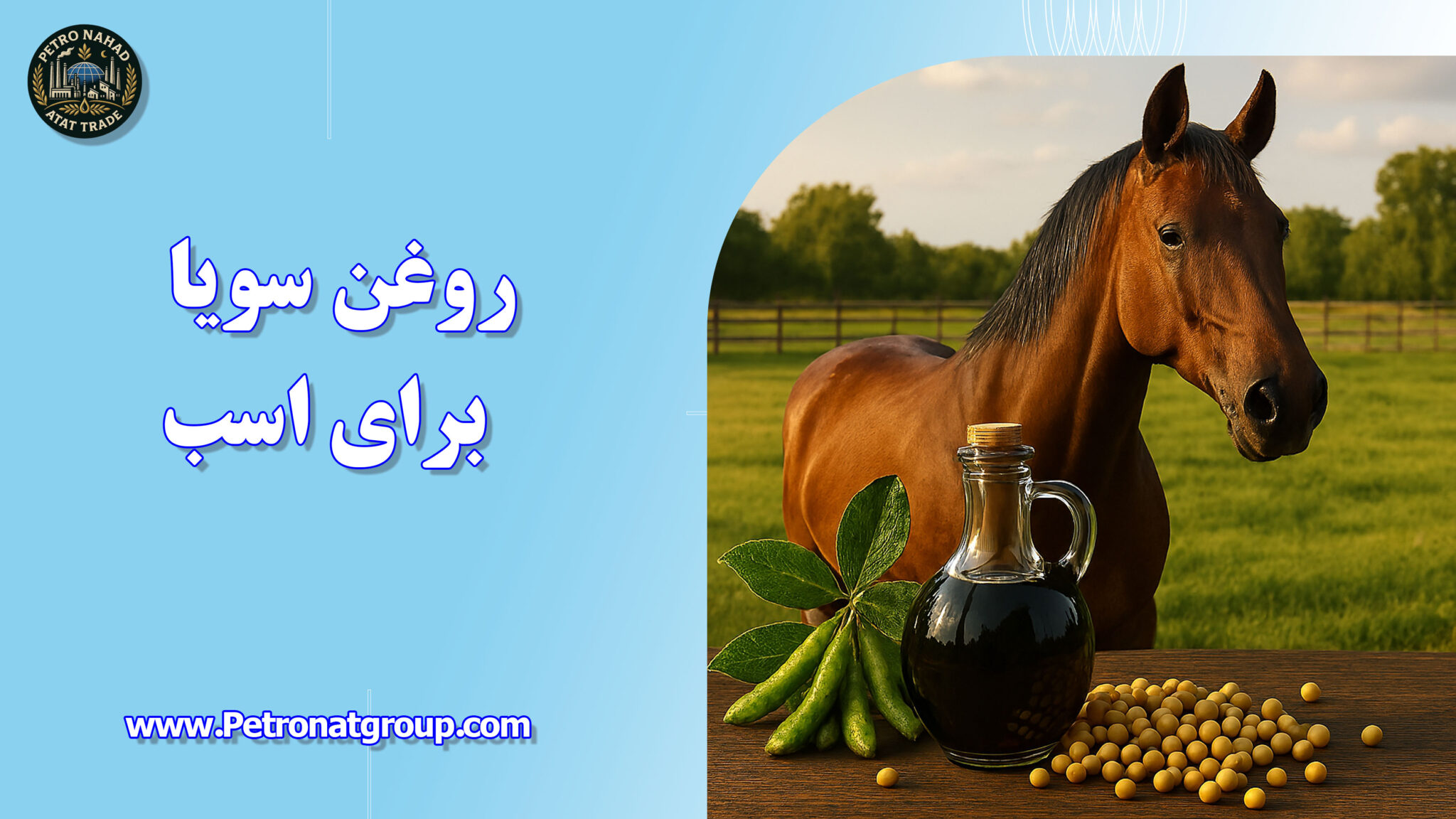 روغن سویا برای اسب