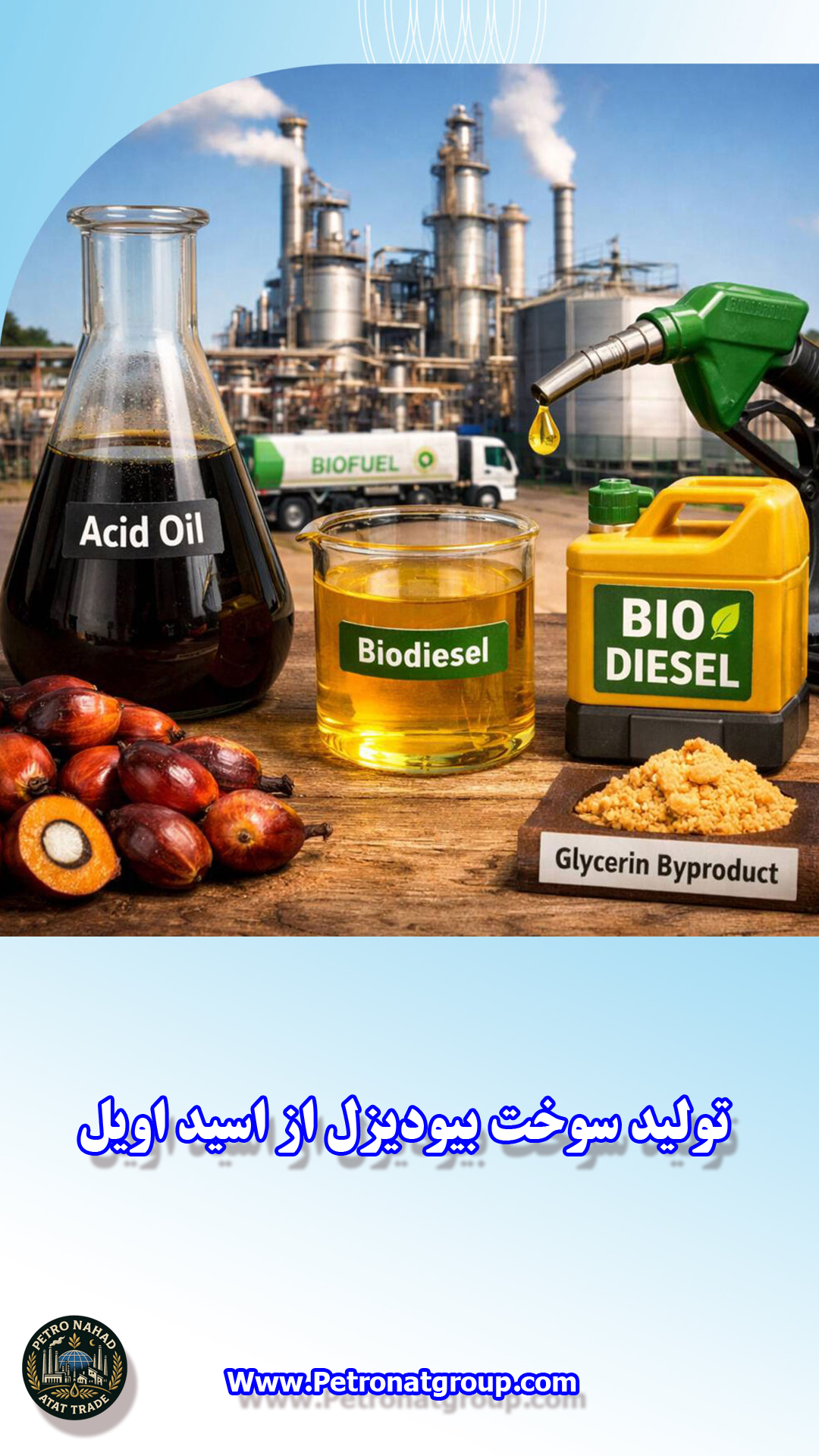 اسید اویل - اسید چرب