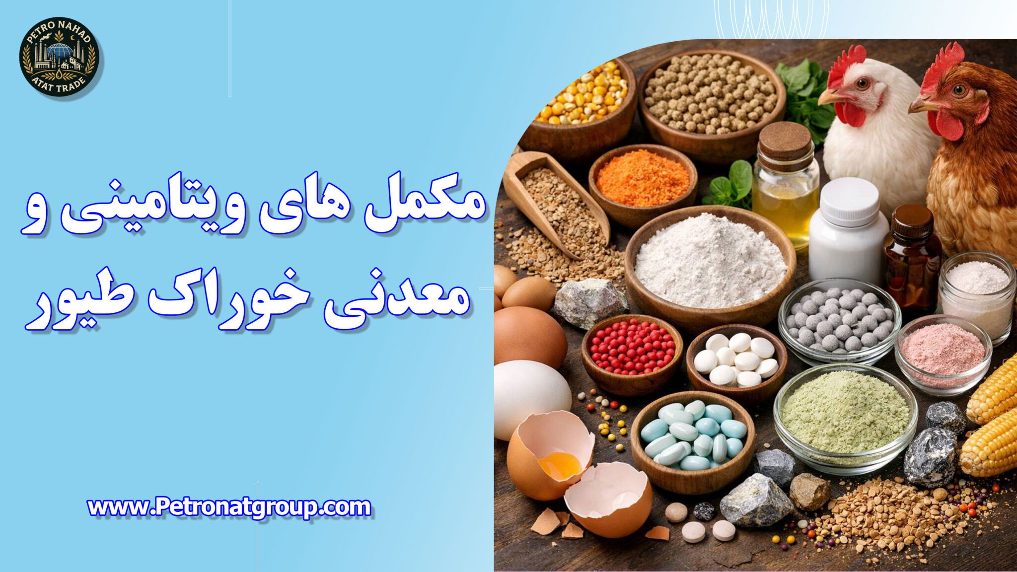مکمل های ویتامینی و معدنی خوراک طیور