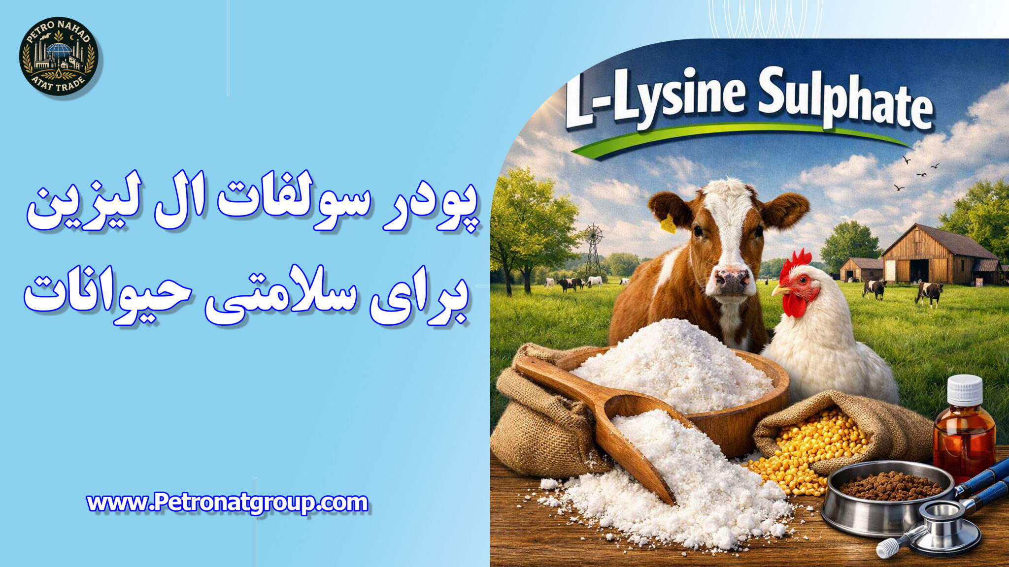 پودر سولفات ال لیزین برای سلامتی حیوانات
