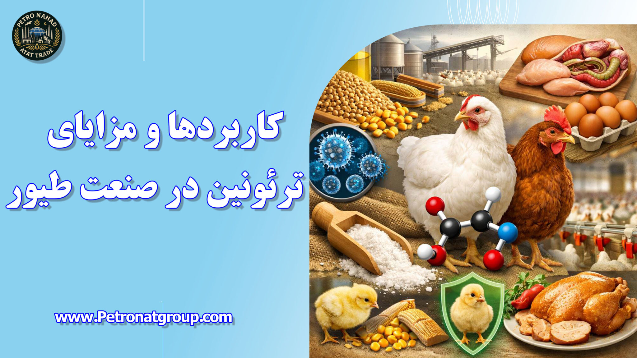 کاربردها و مزایای ترئونین در صنعت طیور