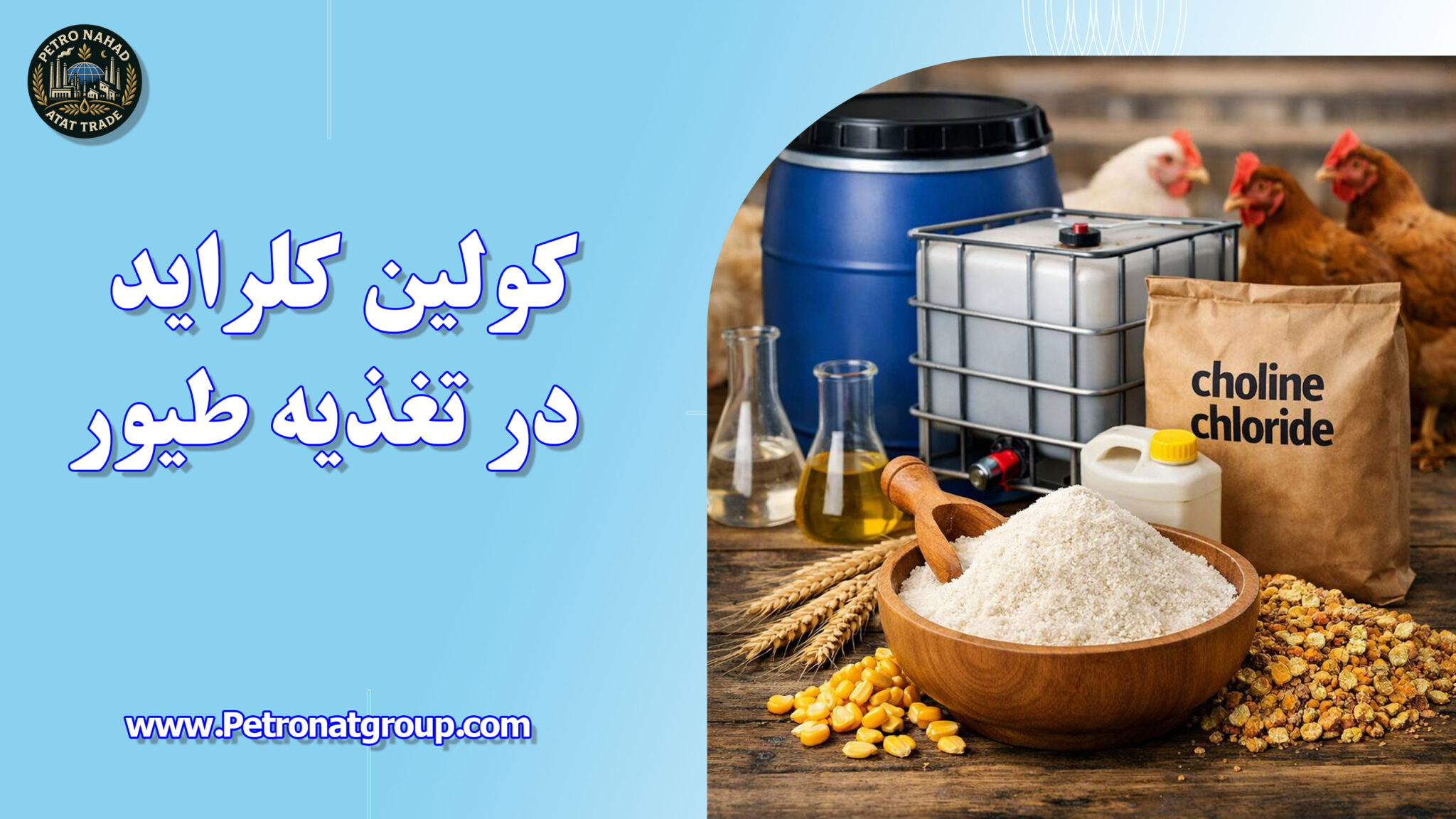 کولین کلراید در تغذیه طیور