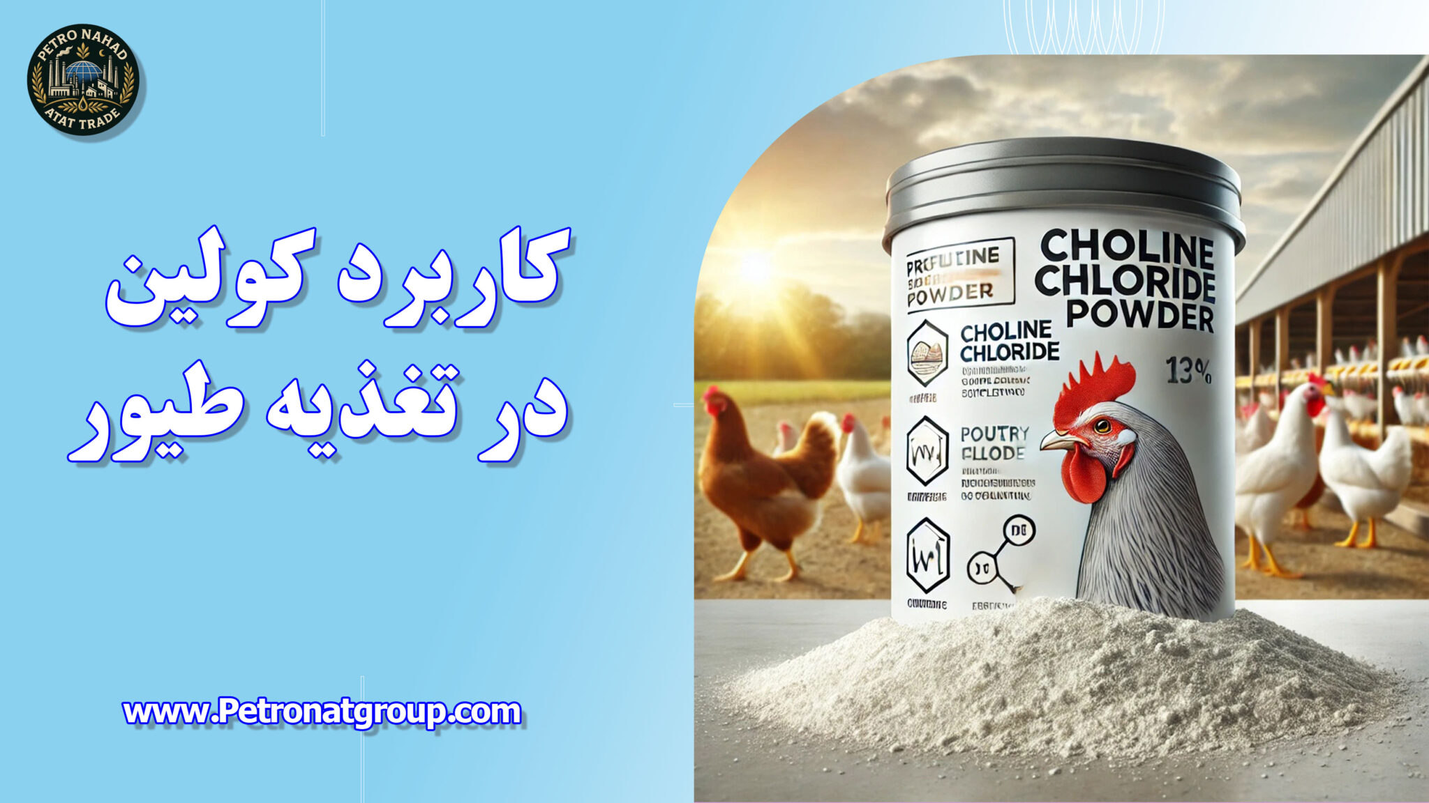 کاربرد کولین در تغذیه طیور
