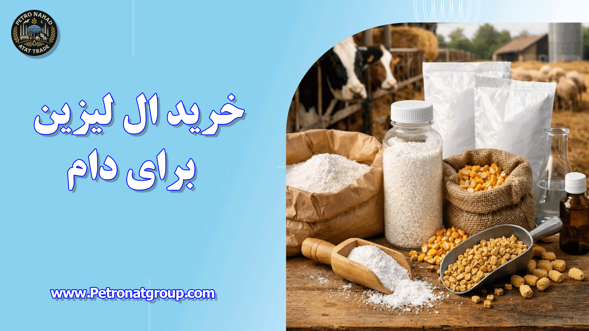 خرید ال لیزین برای دام
