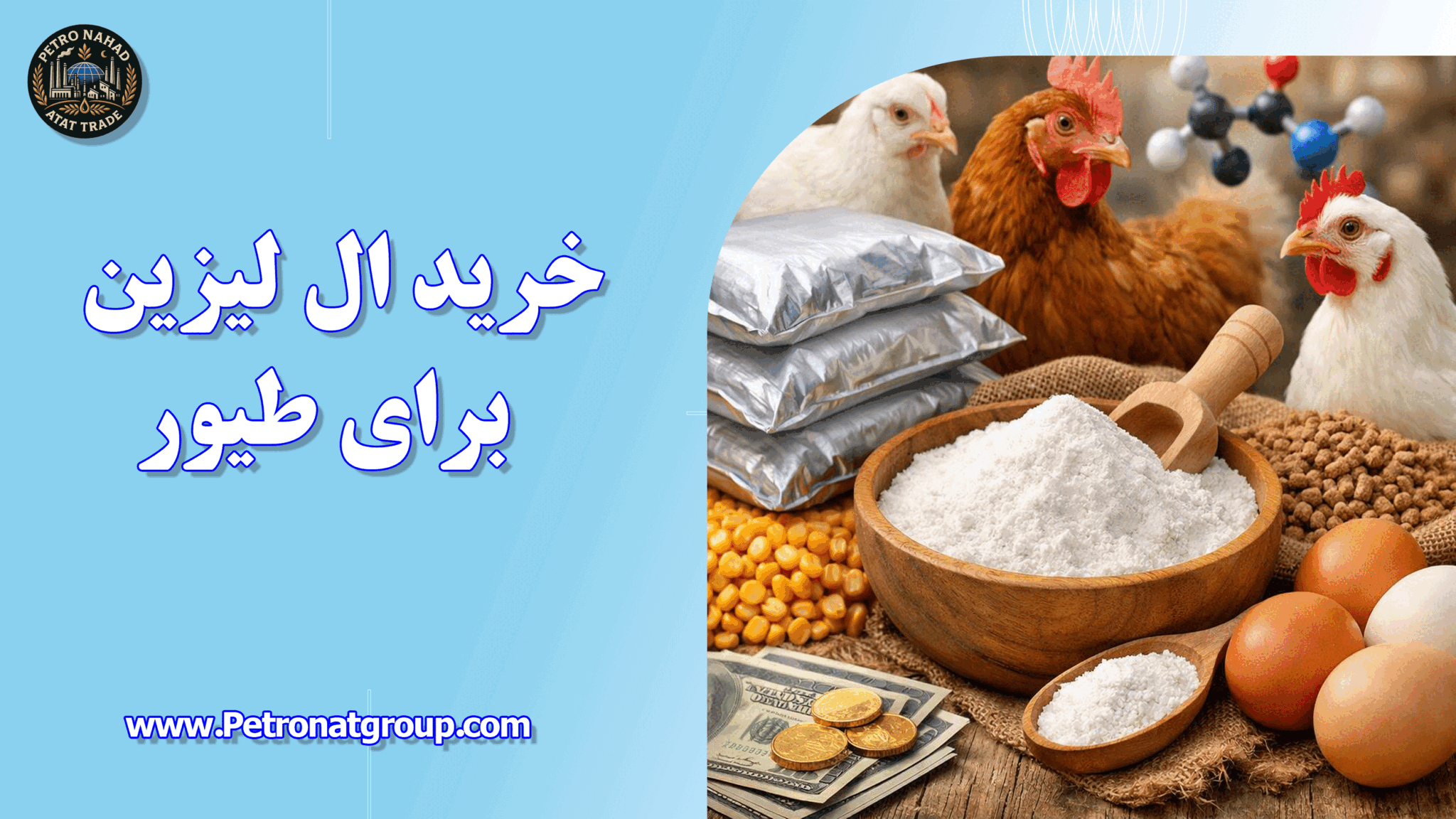 خرید ال لیزین برای طیور
