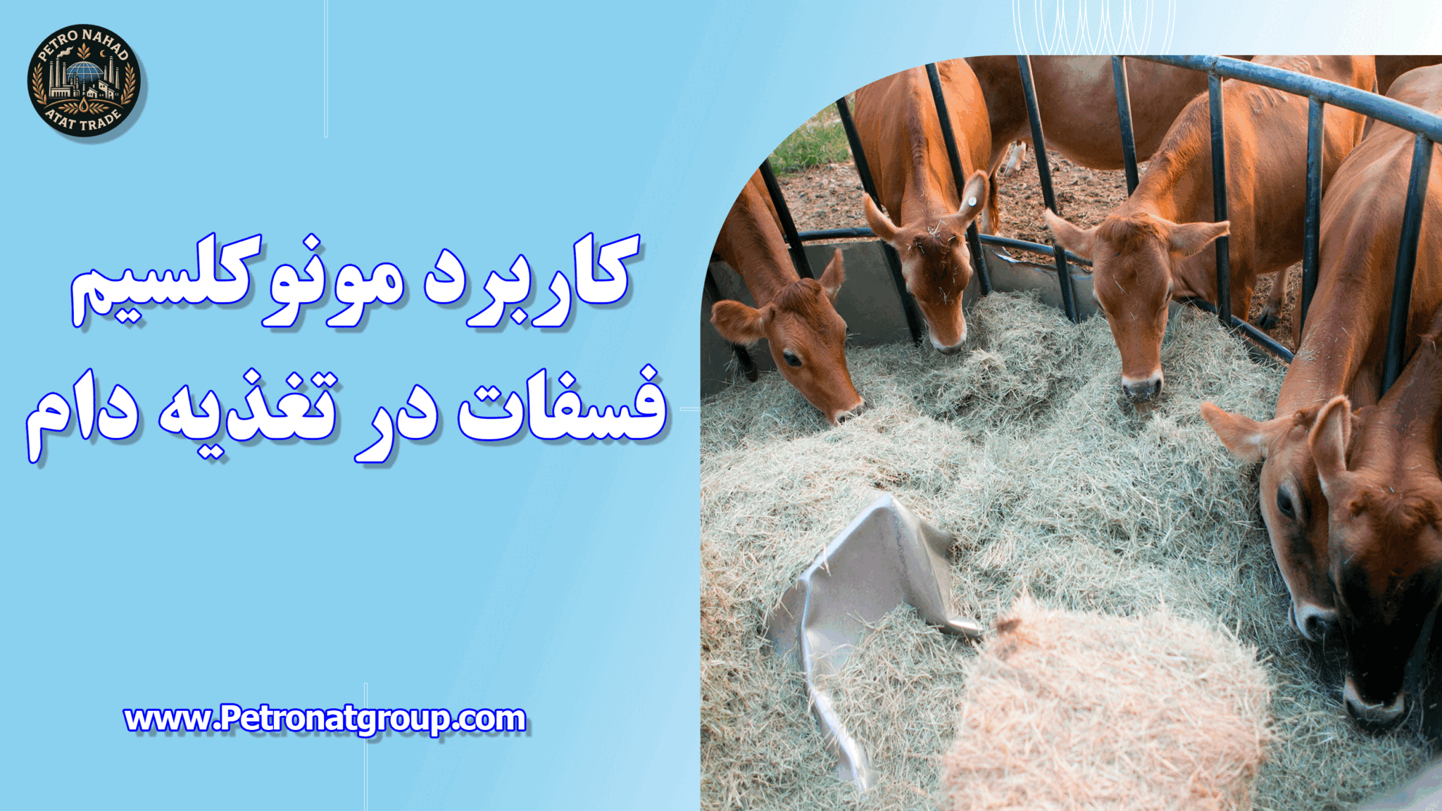 کاربرد مونوکلسیم فسفات در تغذیه دام